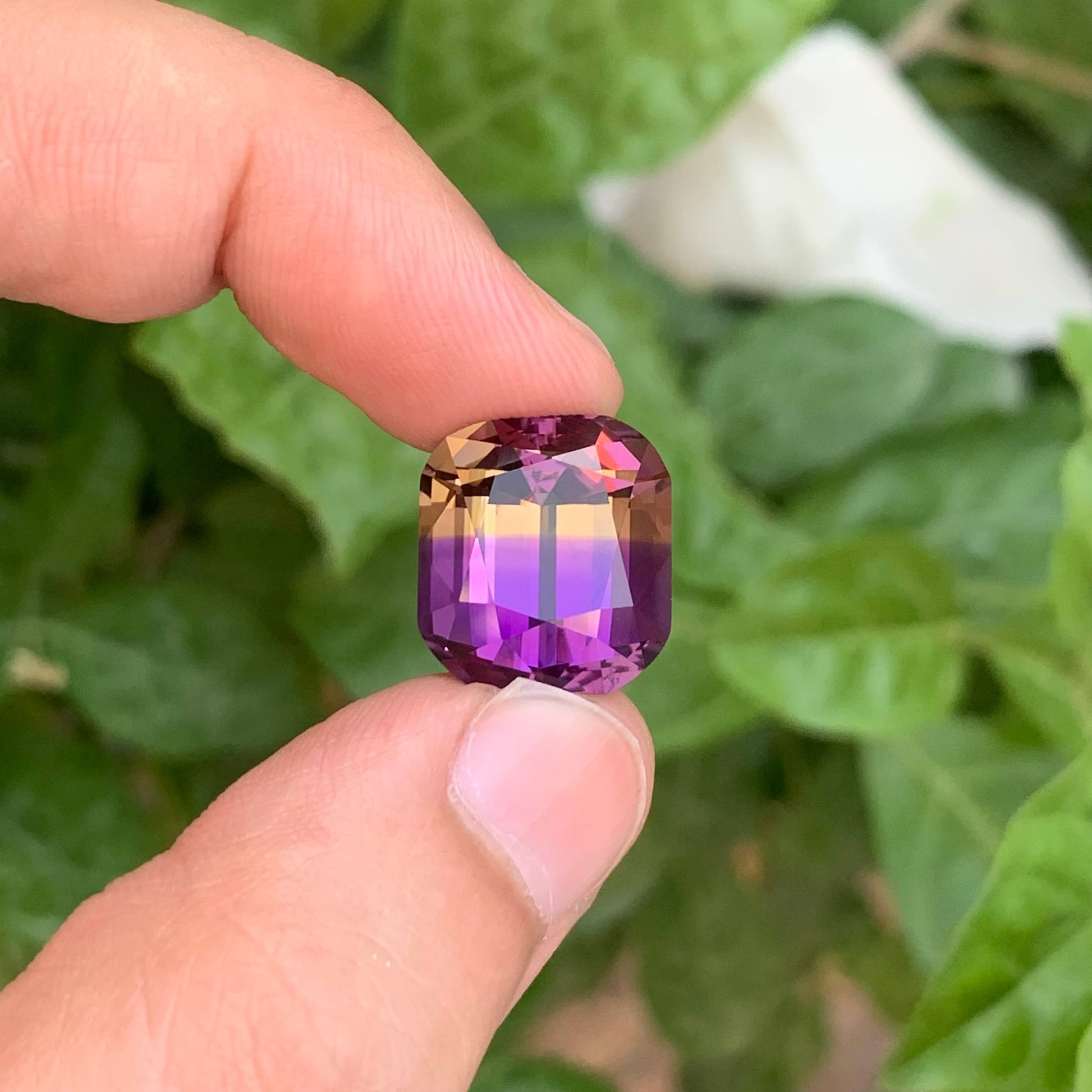 18.95 Carat Bicolor Ametrine Stone