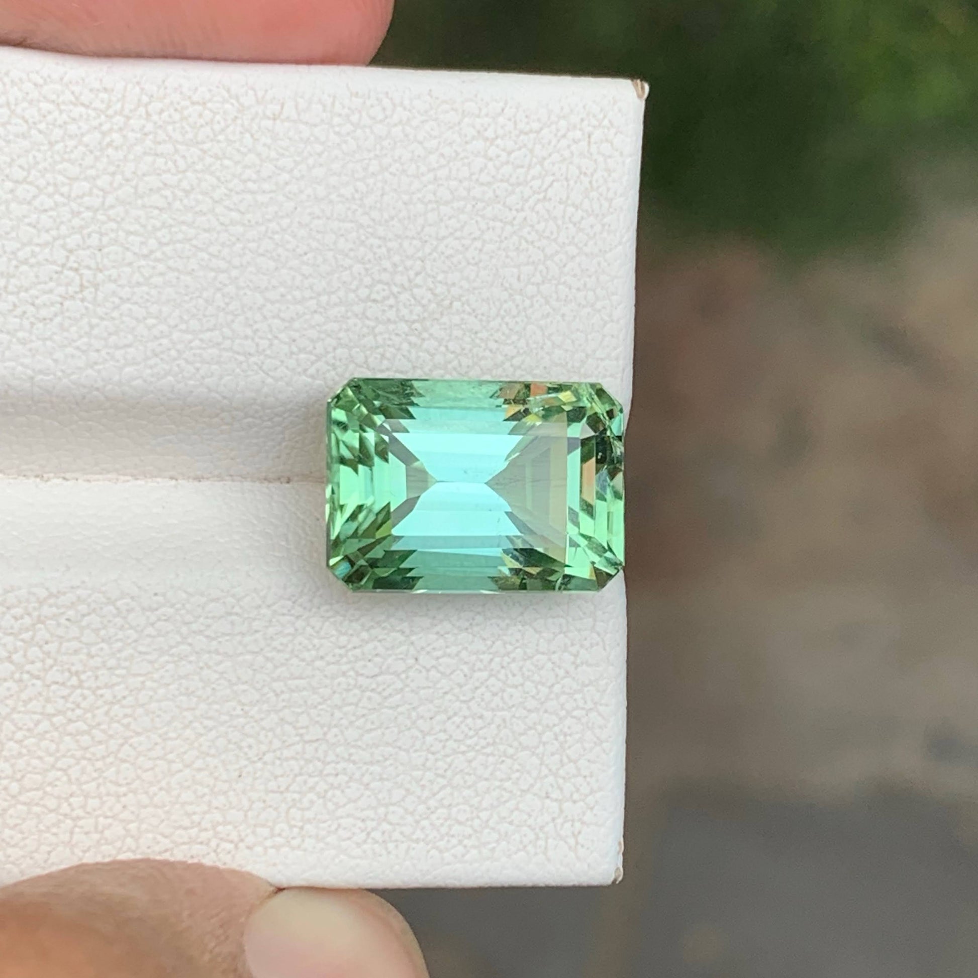 8.20 Carat Mint Tourmaline Gem