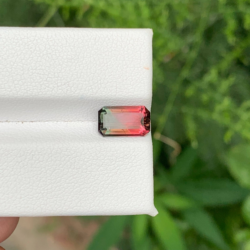 1.65 Ct Natural Watermelon Tourmaline