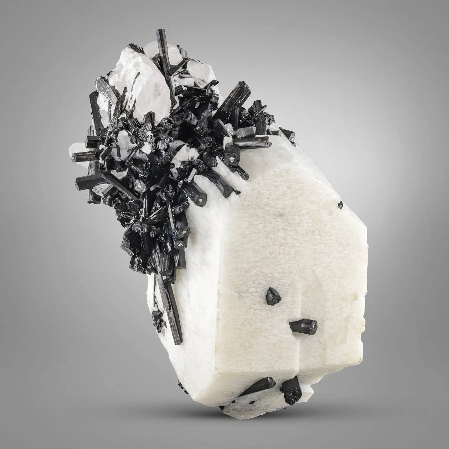 contrast of Black Tourmaline cluster on milky white Feldspar from Pakistan