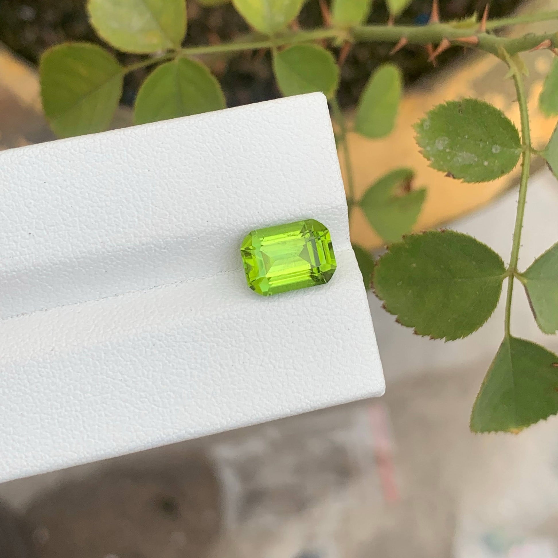 2.90 Ct Natural Apple Green Peridot Emerald