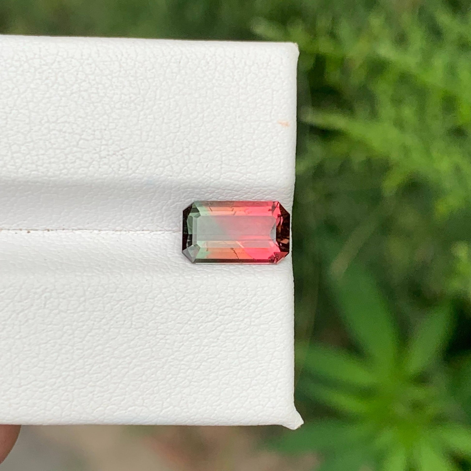1.65 Ct Natural Watermelon Tourmaline