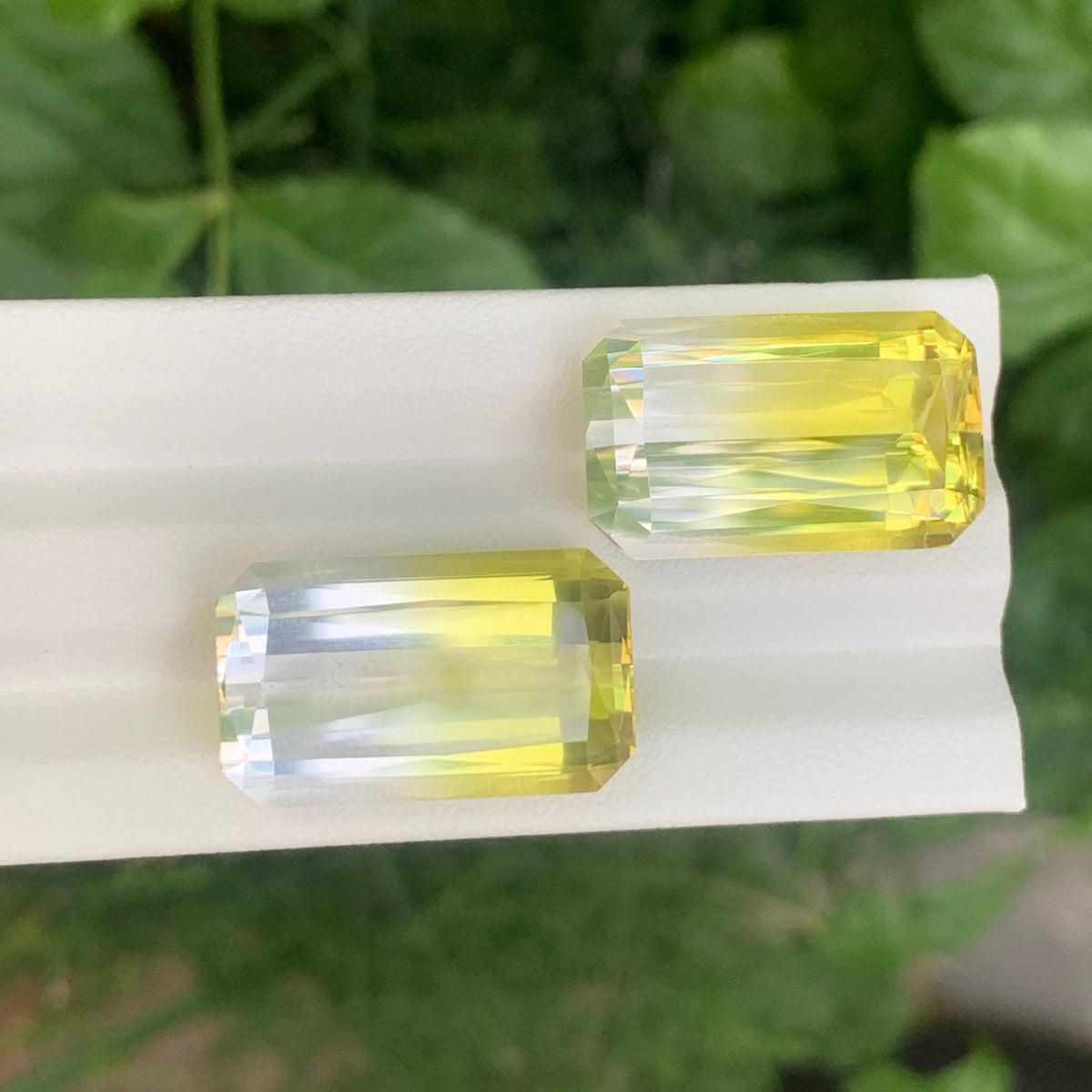44.95 Carat Natural Loose Bicolor Color Citrine Pair Cushion African Gemstone