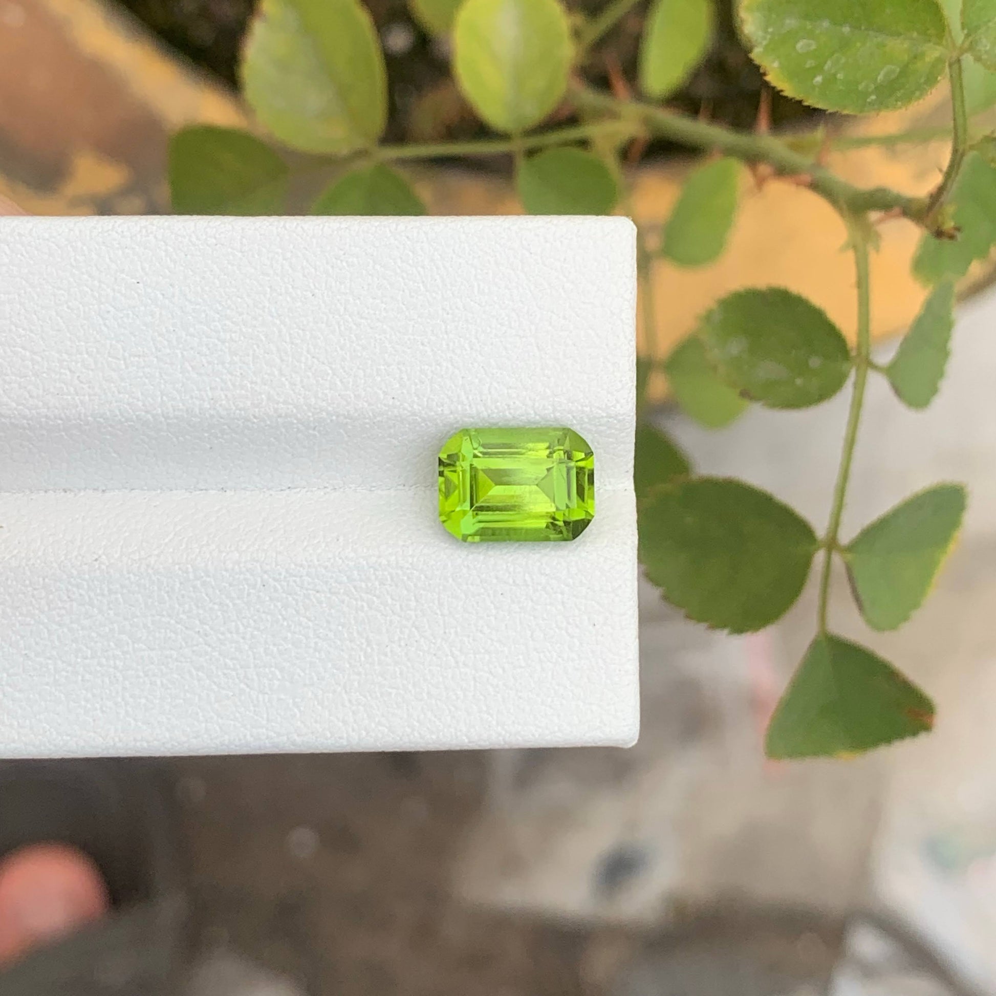 2.90 Ct Natural Apple Green Peridot Emerald