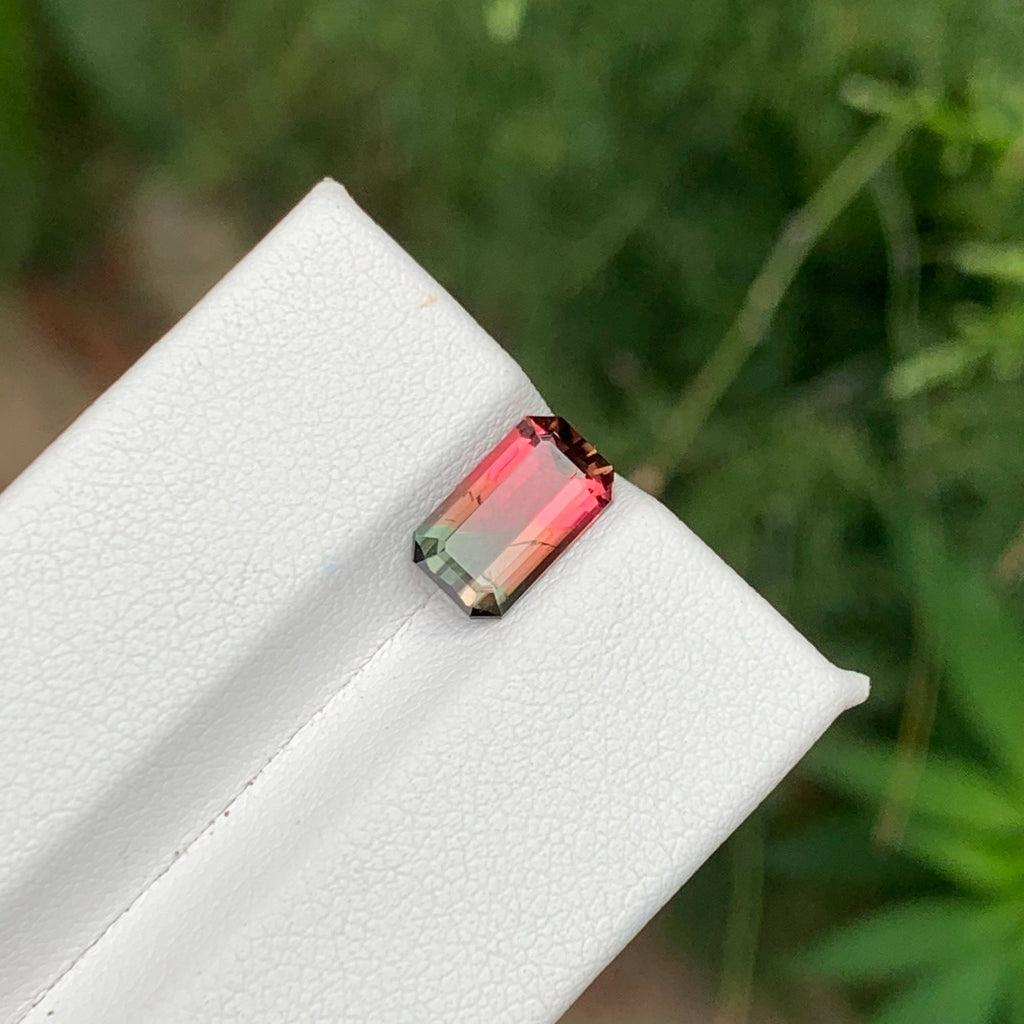 1.65 Ct Natural Watermelon Tourmaline