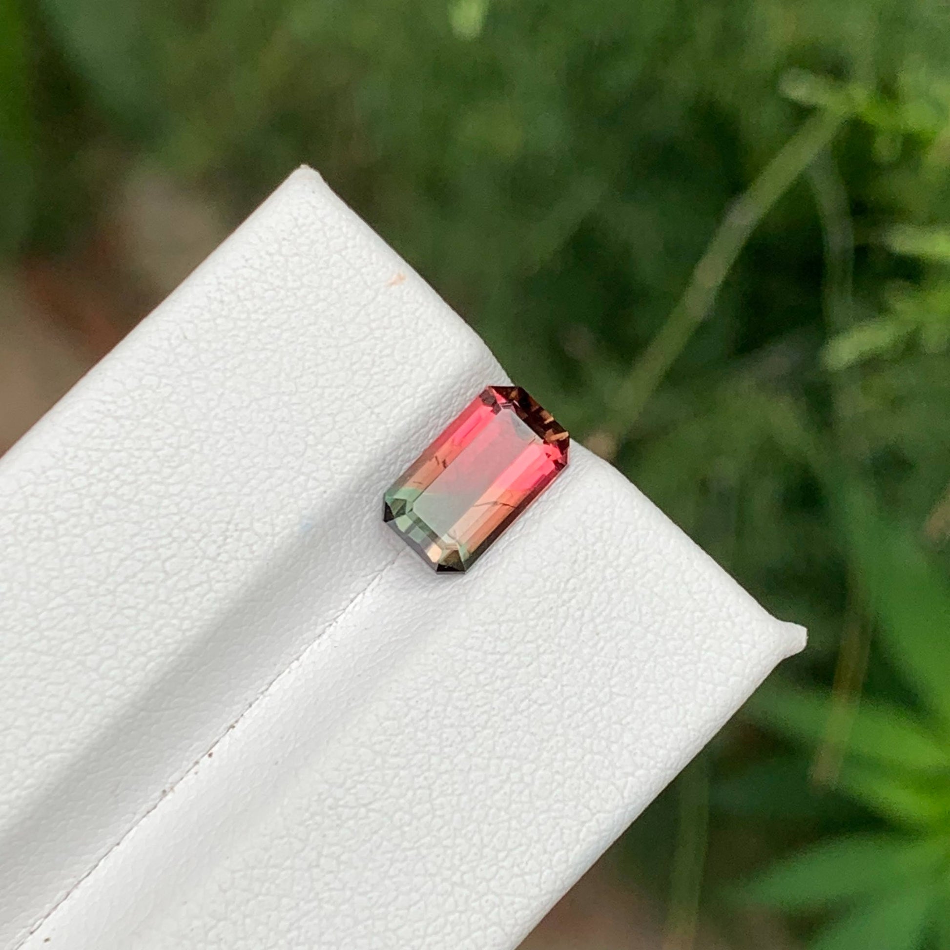 1.65 Ct Natural Watermelon Tourmaline