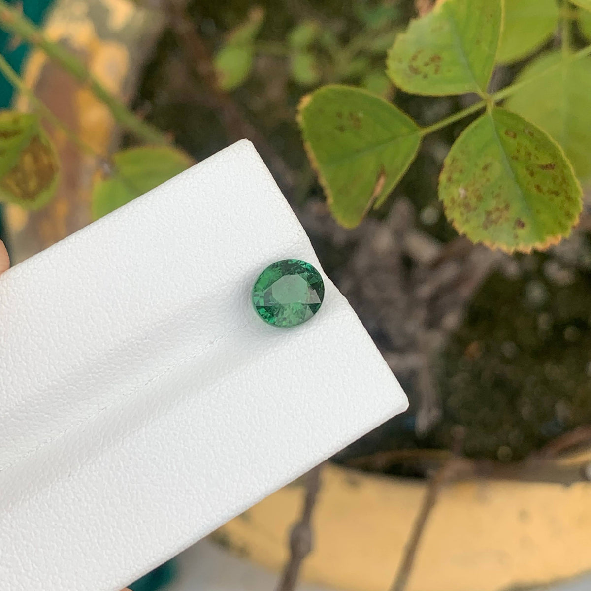 1.60 Carat Natural Loose Deep Green Color Tourmaline Oval Cut Afghan Gemstone