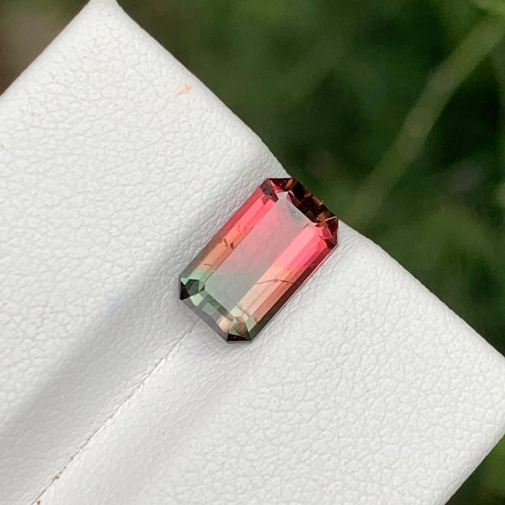 1.65 Ct Natural Watermelon Tourmaline