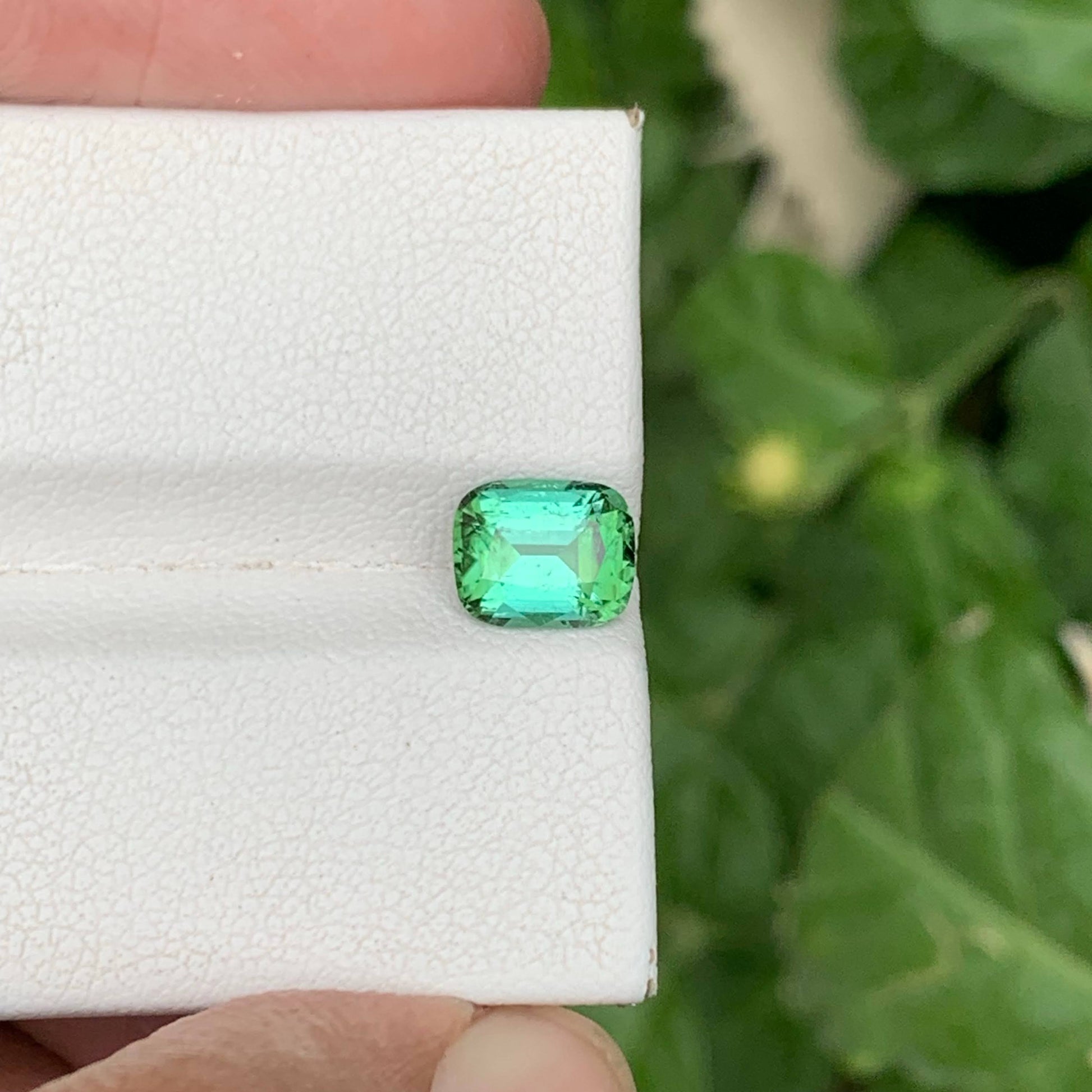 1.40 Carat Mint Tourmaline Gem
