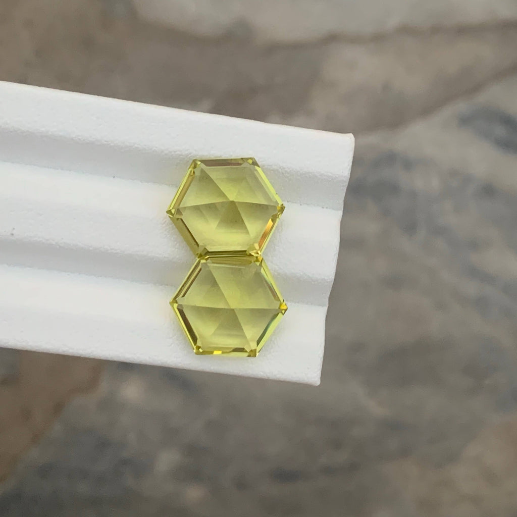 15.40 Carat Lemon Citrine Pair Hexagonal Cut Africa | Loupe Clean Untreated