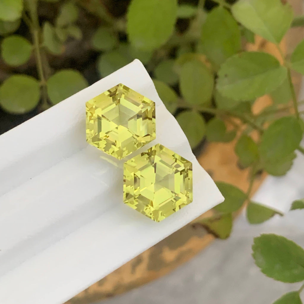 15.40 Carat Lemon Citrine Pair Hexagonal Cut Africa | Loupe Clean Untreated