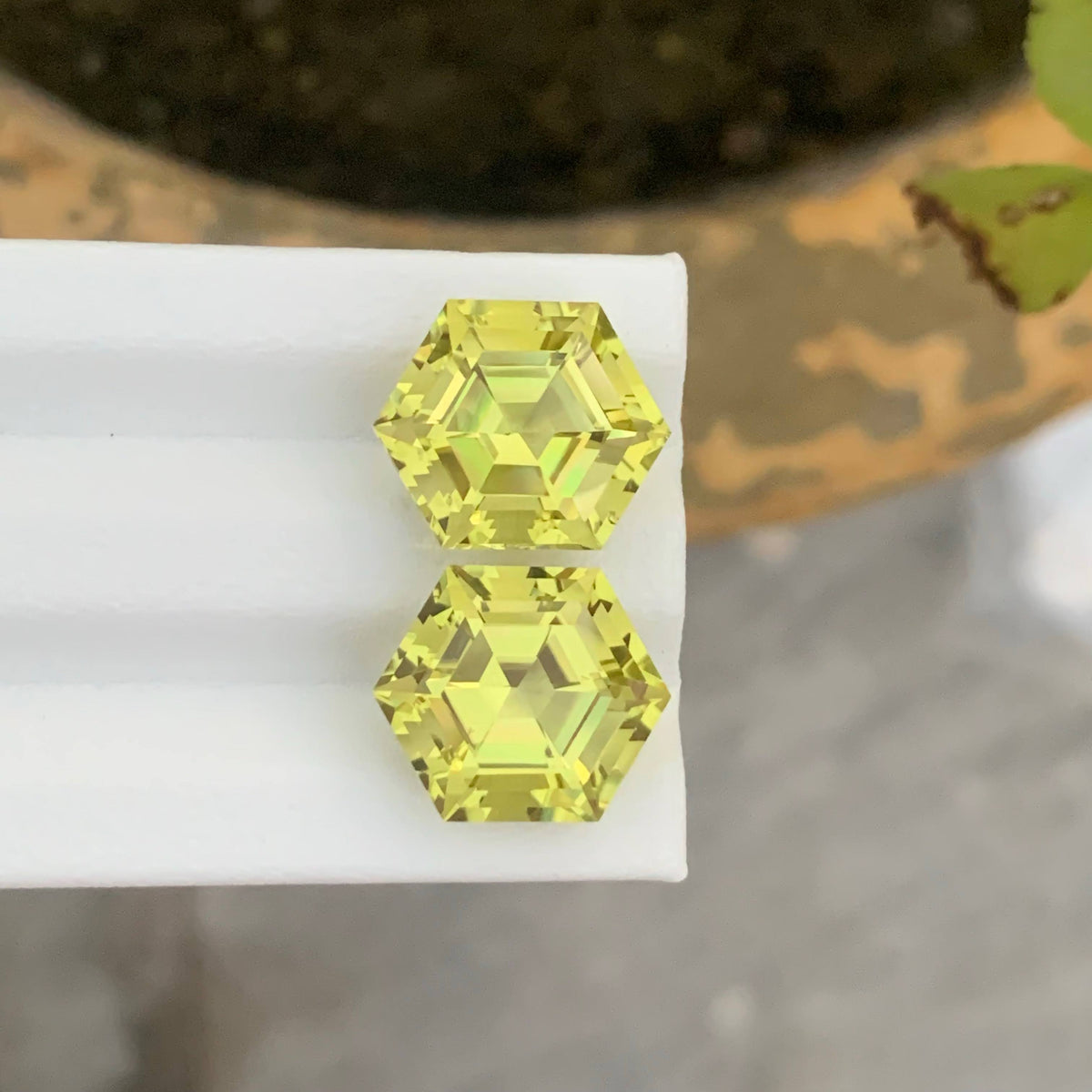 15.40 Carat Lemon Citrine Pair Hexagonal Cut Africa | Loupe Clean Untreated
