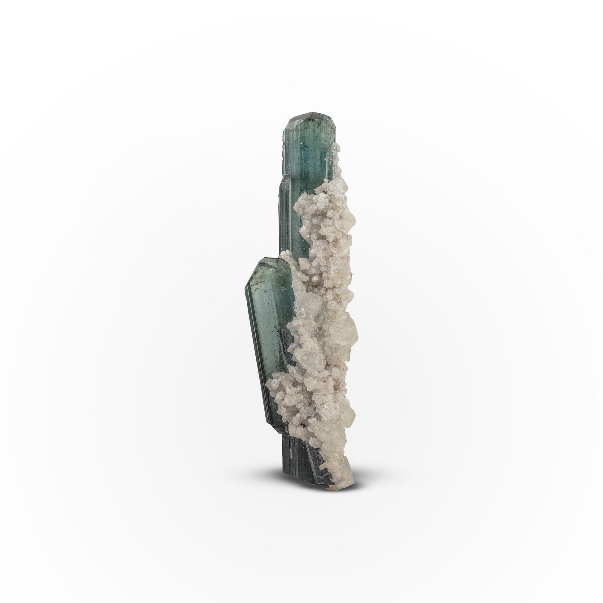 Indicolite Tourmaline Crystals with White Albite Matrix from Afghanistan