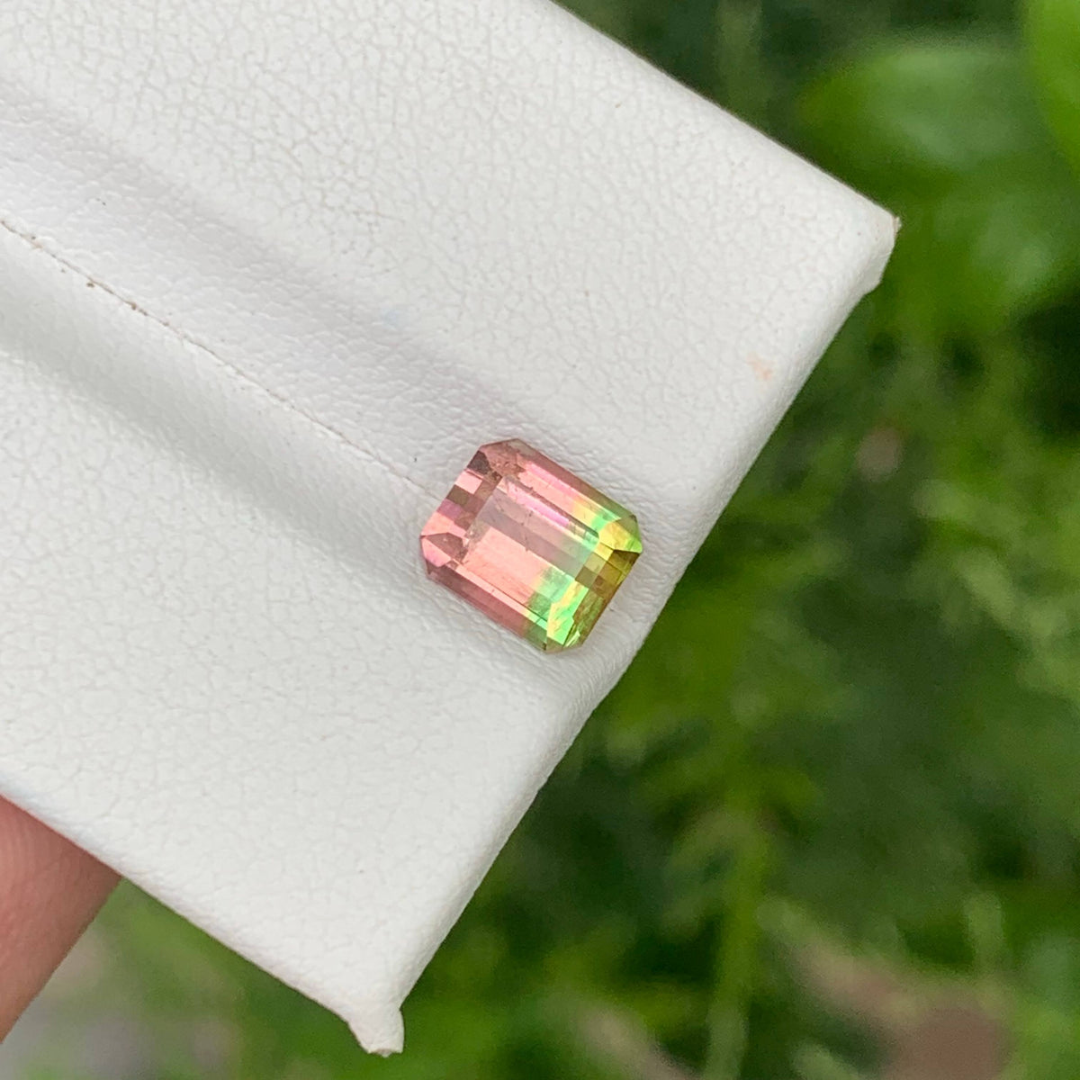 1.45 Carat Natural Bicolor Watermelon Tourmaline Emerald Cut Afghan Gemstone