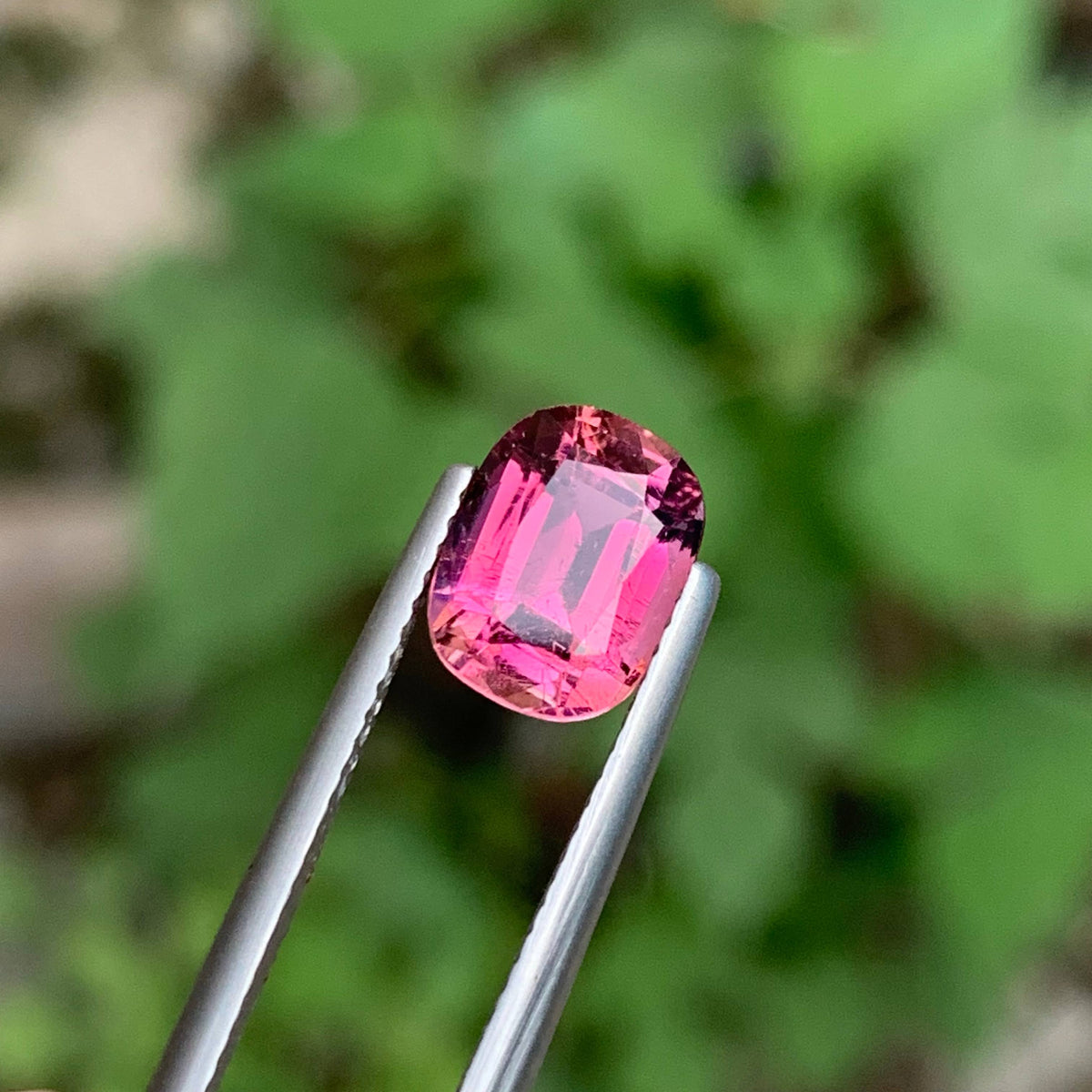 2.00 Carat Hot Pink Tourmaline Cushion Cut Afghanistan VVS Untreated