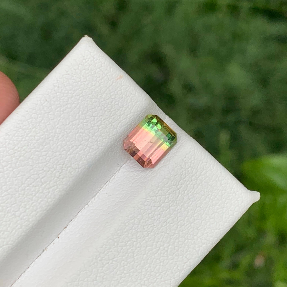 1.45 Carat Natural Bicolor Watermelon Tourmaline Emerald Cut Afghan Gemstone