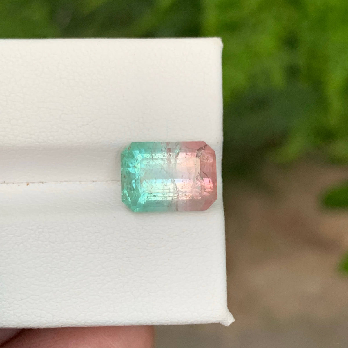4.95 Carat Natural Bicolor Watermelon Tourmaline Stone Afghan Gemstone