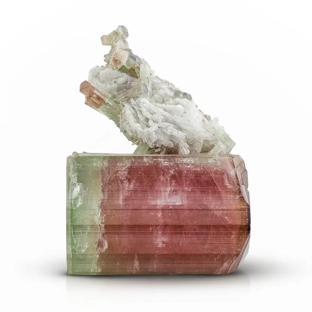 Bicolor Rubilite Tourmaline Crystal with Cleavelandite from Afghanistan