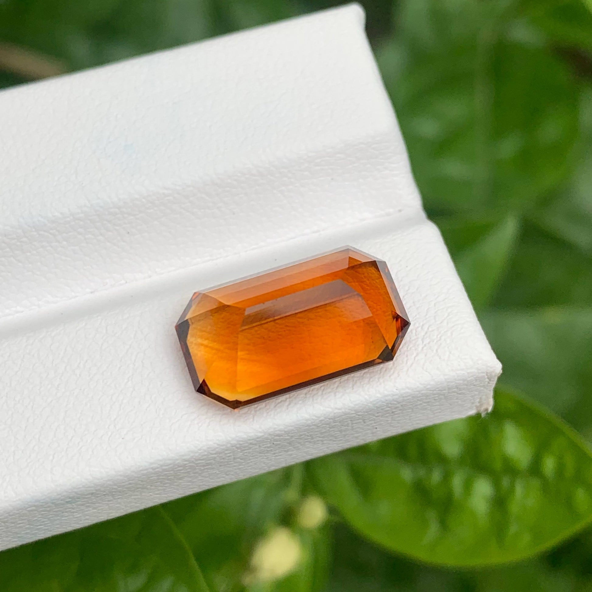 8.70 Carats Fire Citrine Stone Emerald Cut Natural Brazilian Gemstone on a white stand with green leaves in the background