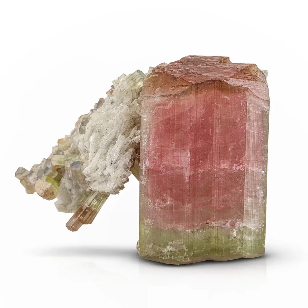 Bicolor Rubilite Tourmaline Crystal with Cleavelandite from Afghanistan