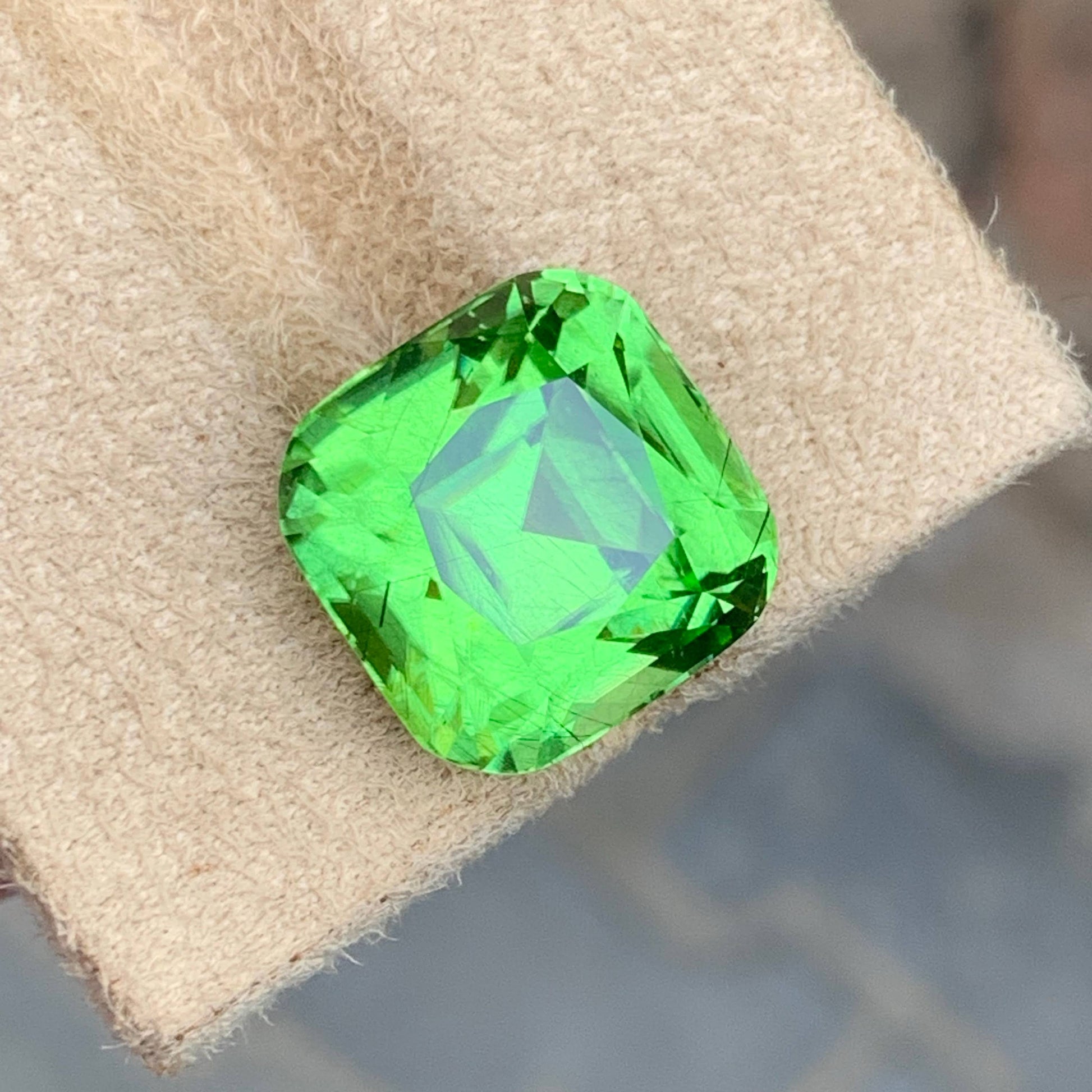 20.15 Carat Ludwigite Inclusion Peridot