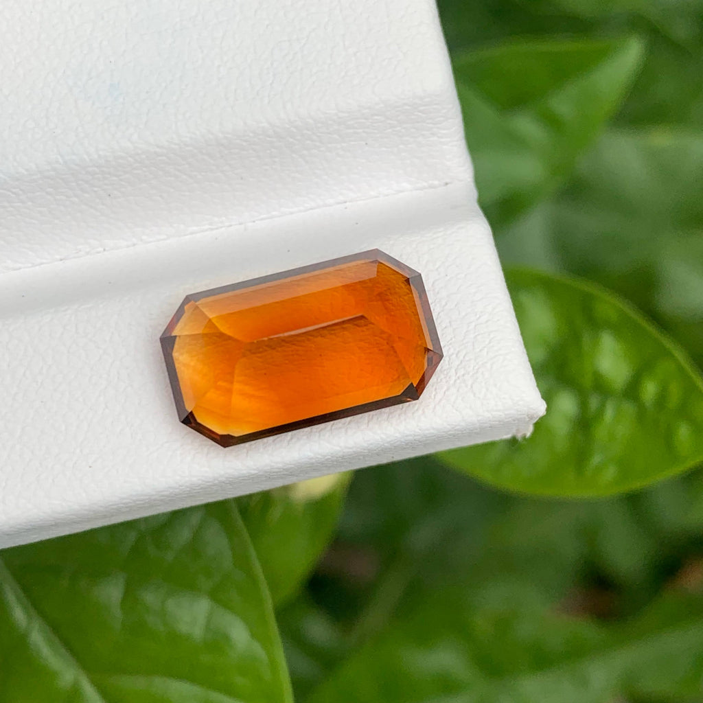 8.70 Carats Fire Citrine Stone Emerald Cut Natural Brazilian Gemstone on a white stand with green leaves in the background