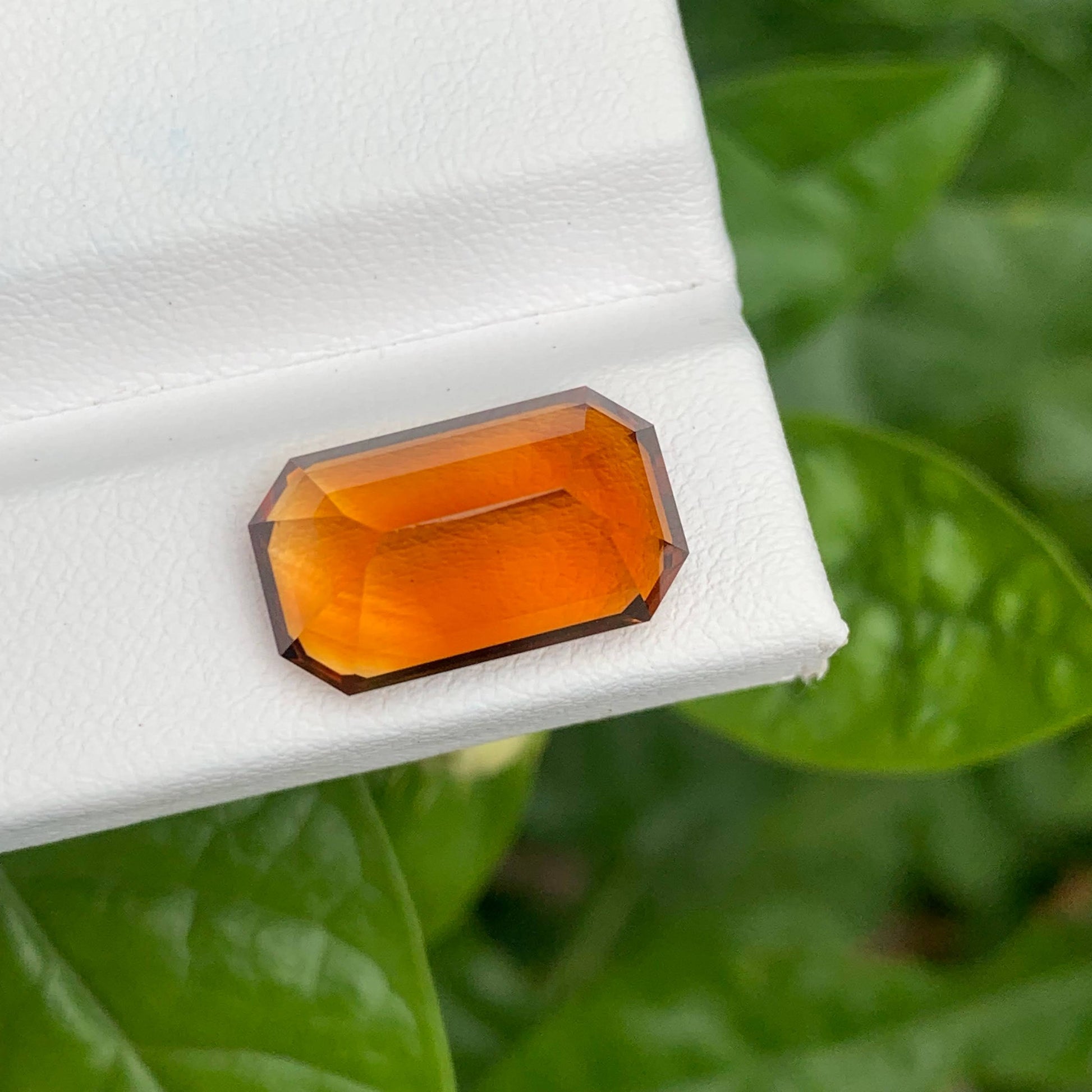 8.70 Carats Fire Citrine Stone Emerald Cut Natural Brazilian Gemstone on a white stand with green leaves in the background