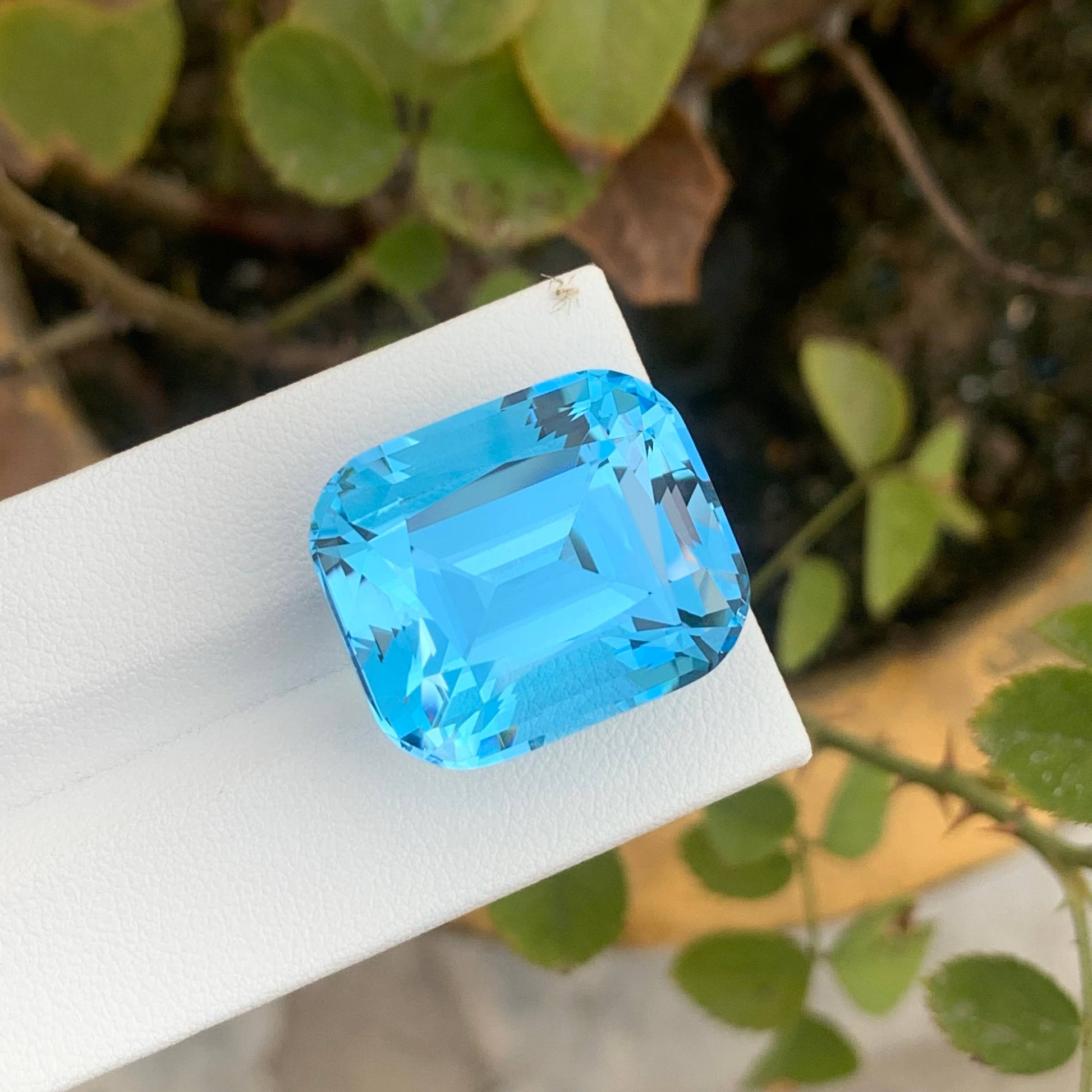 54.55 Ct Natural Sky Blue Topaz