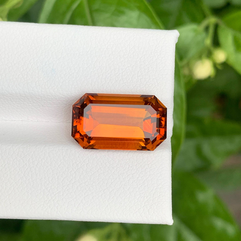 8.70 Carats Fire Citrine Stone Emerald Cut Natural Brazilian Gemstone on a white stand with green leaves in the background