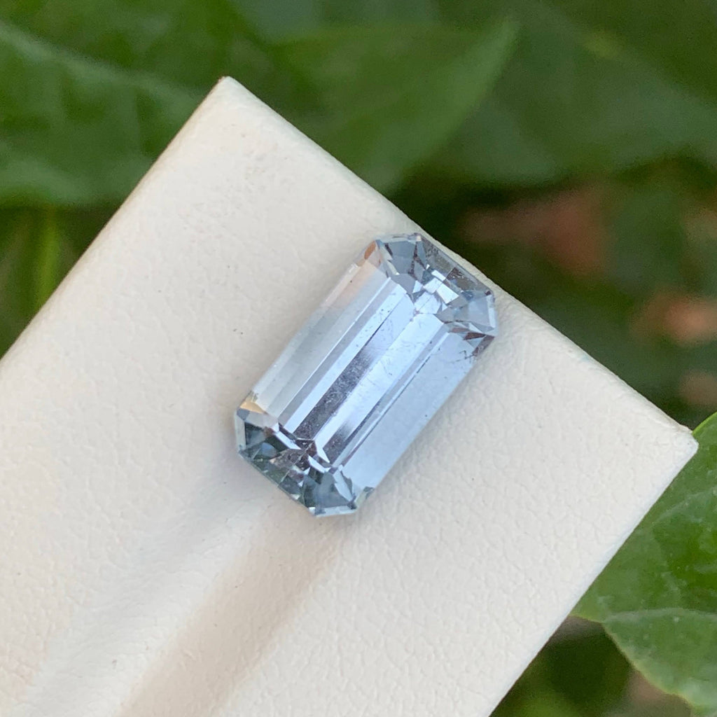 Faceted gemstone on a white surface with a green leafy background