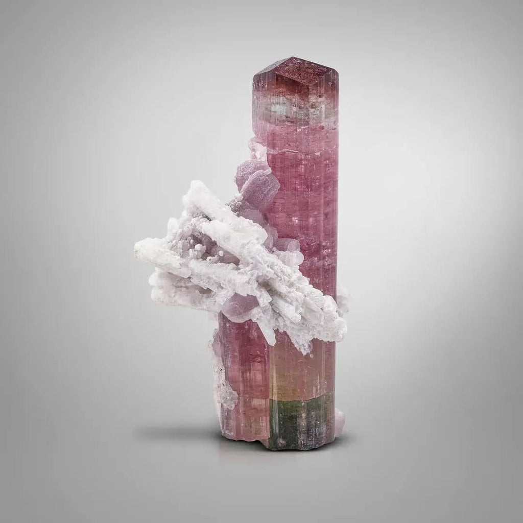 Rubilite Pink Tourmaline Crystal with Cleavelandite from Afghanistan
