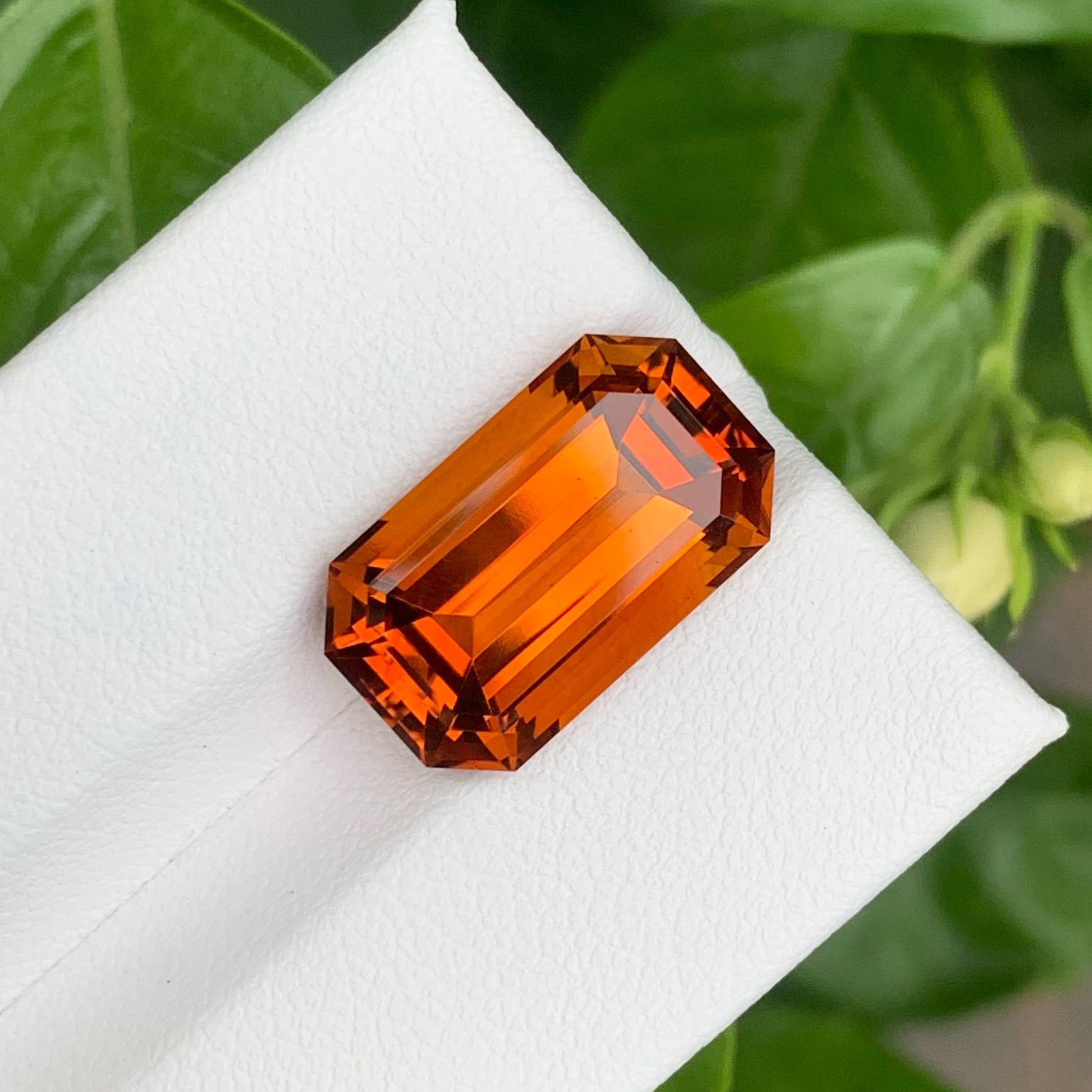 8.70 Carats Fire Citrine Stone Emerald Cut Natural Brazilian Gemstone on a white stand with green leaves in the background
