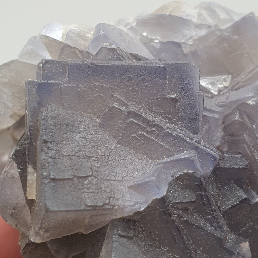 Adorable Aggregate Of Fluorite Cubes With Nice Zonings