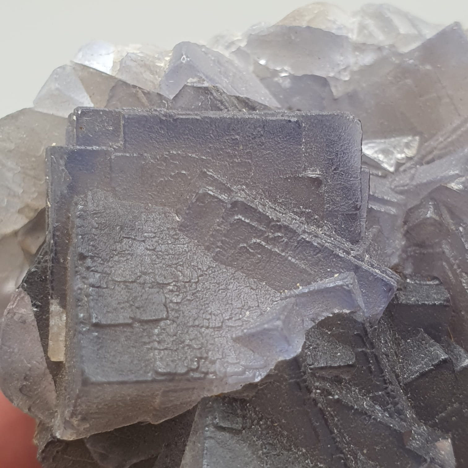 Adorable Aggregate Of Fluorite Cubes With Nice Zonings
