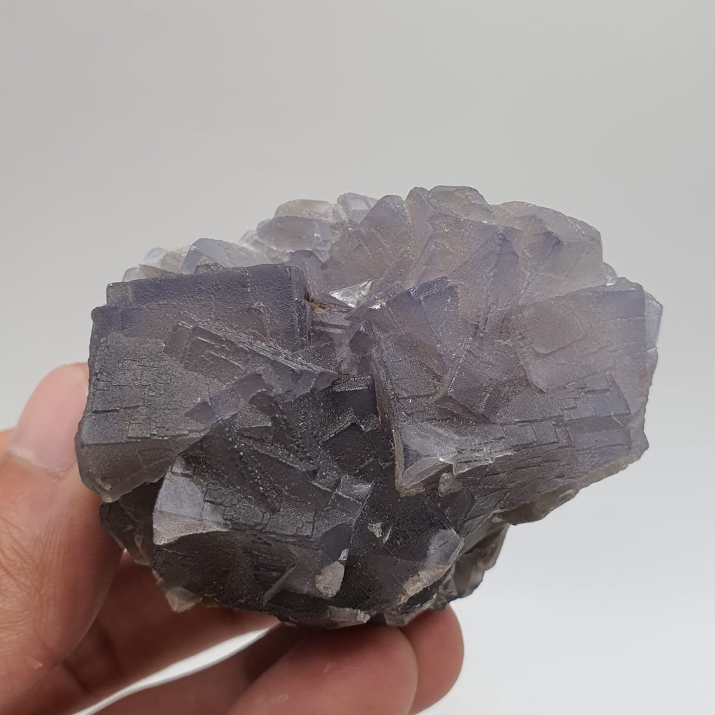 Adorable Aggregate Of Fluorite Cubes With Nice Zonings