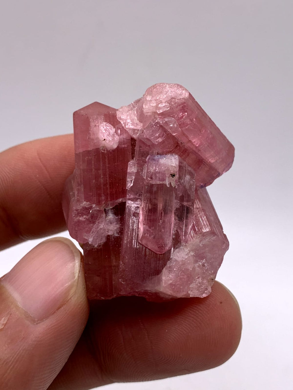 Adorable Aggregate Of Vibrant Pink Tourmaline With Blue Caps