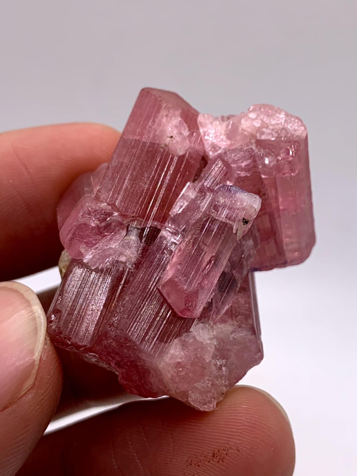 Adorable Aggregate Of Vibrant Pink Tourmaline With Blue Caps