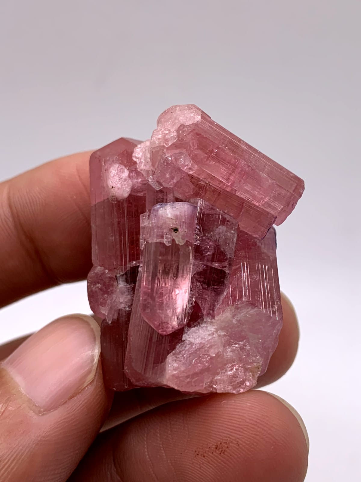 Adorable Aggregate Of Vibrant Pink Tourmaline With Blue Caps