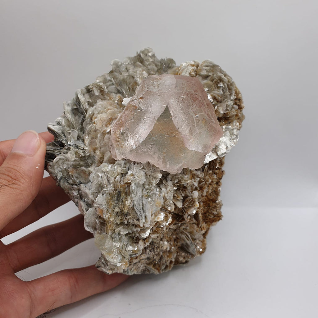 Aesthetic And Attractive Focal Crystal Of Pink Fluorite On Muscovite