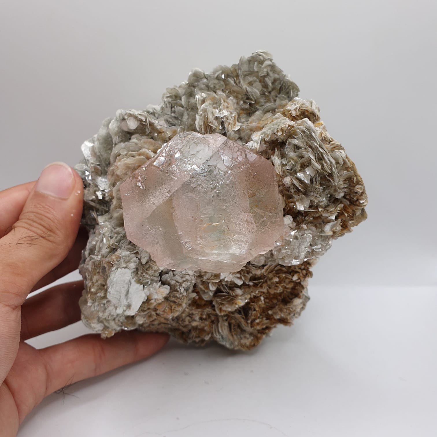 Aesthetic And Attractive Focal Crystal Of Pink Fluorite On Muscovite