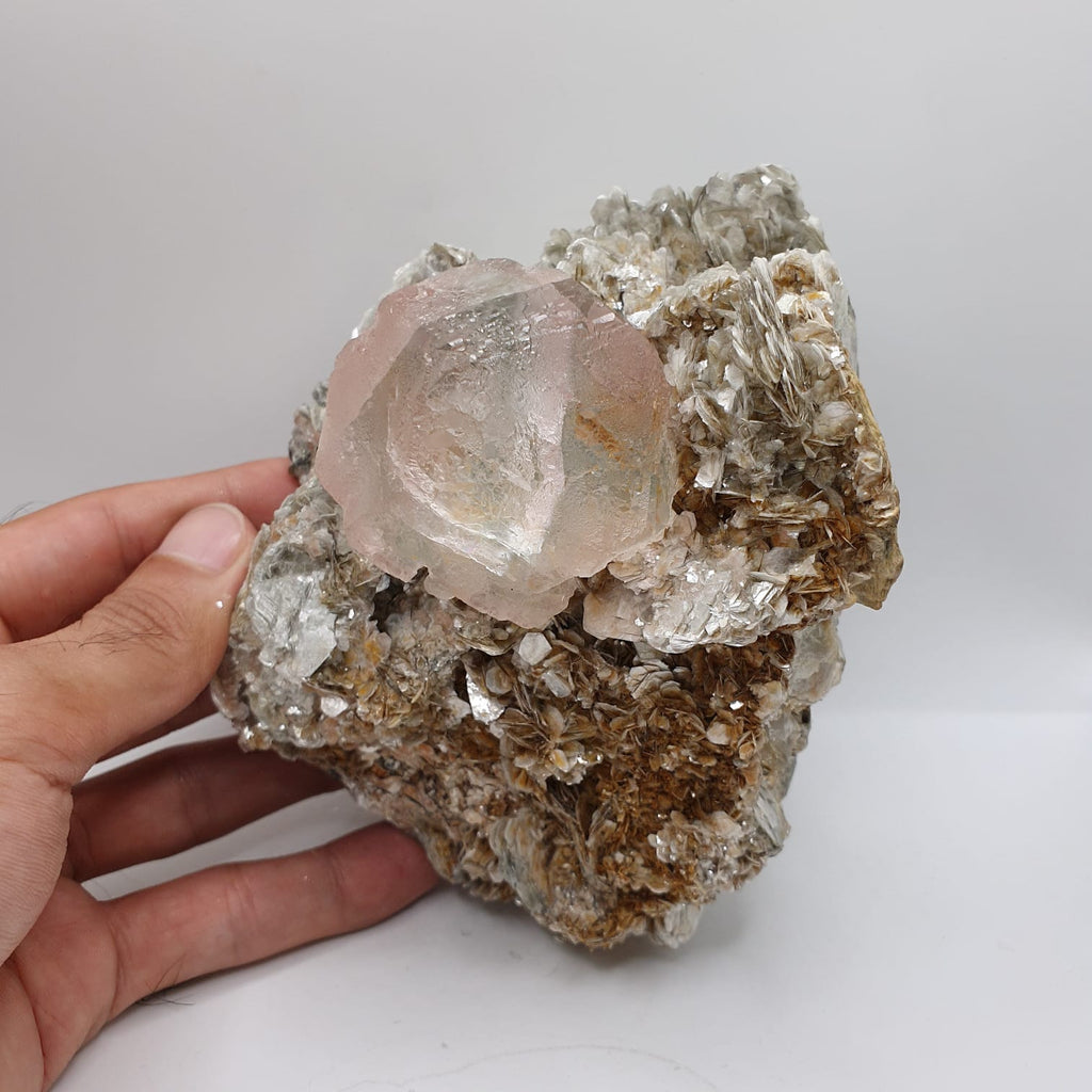 Aesthetic And Attractive Focal Crystal Of Pink Fluorite On Muscovite