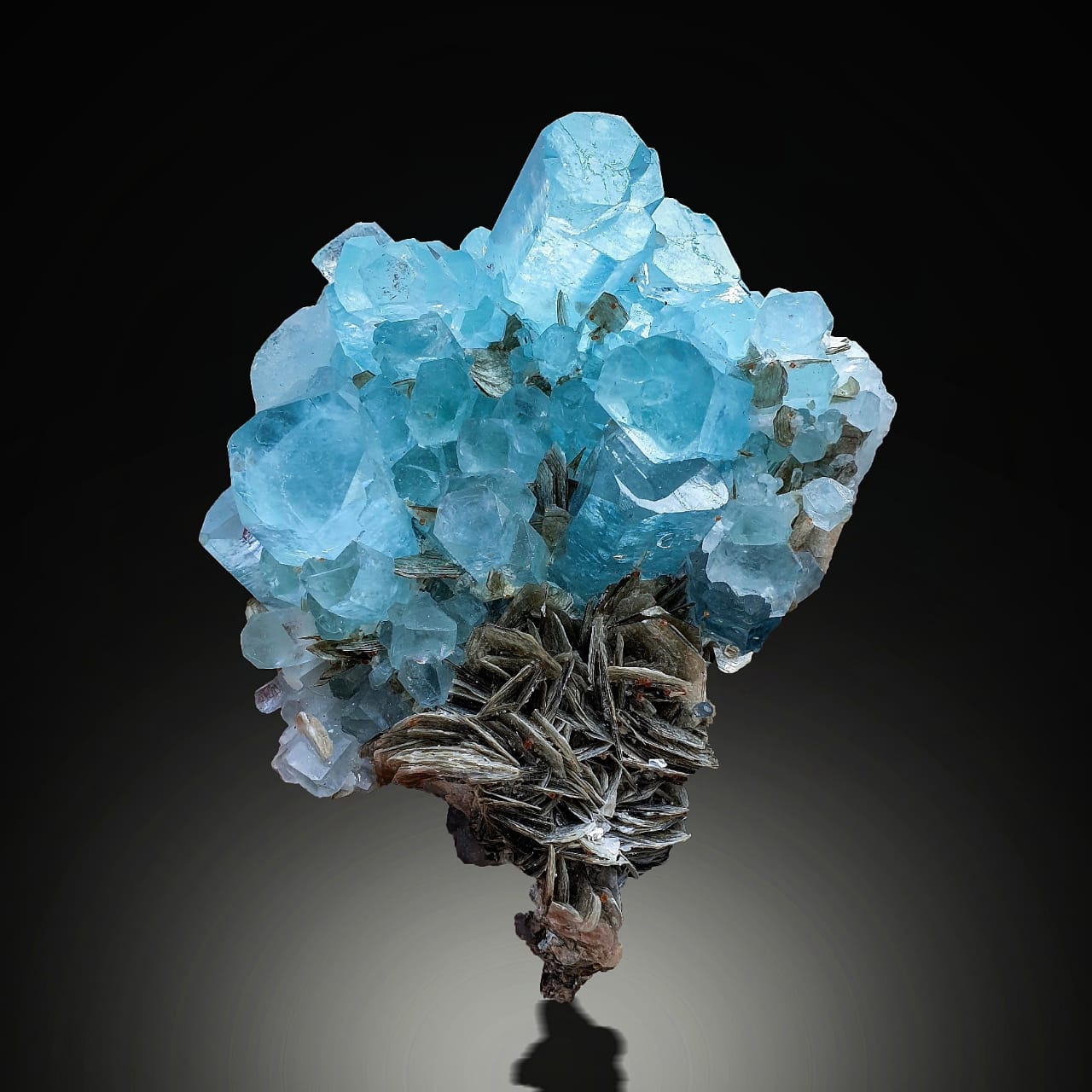 Aquamarine Cluster with Pink Apatite on Muscovite  on a dark background at Gandhara Fine Minerals