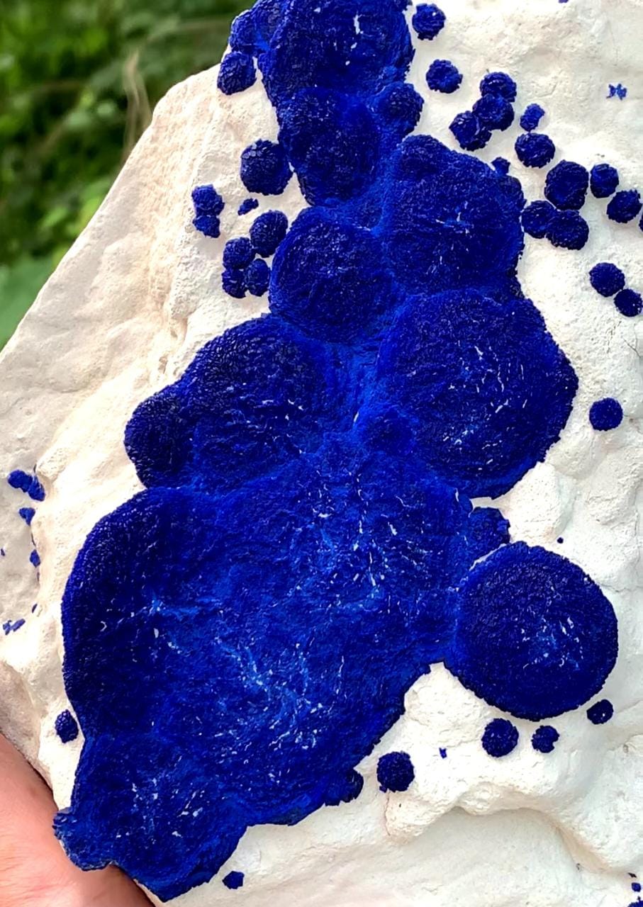 Attractive And Impressive Azurite Sun Round Crystals On Kaolinite Matrix