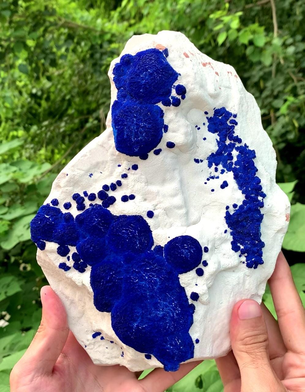 Attractive And Impressive Azurite Sun Round Crystals On Kaolinite Matrix