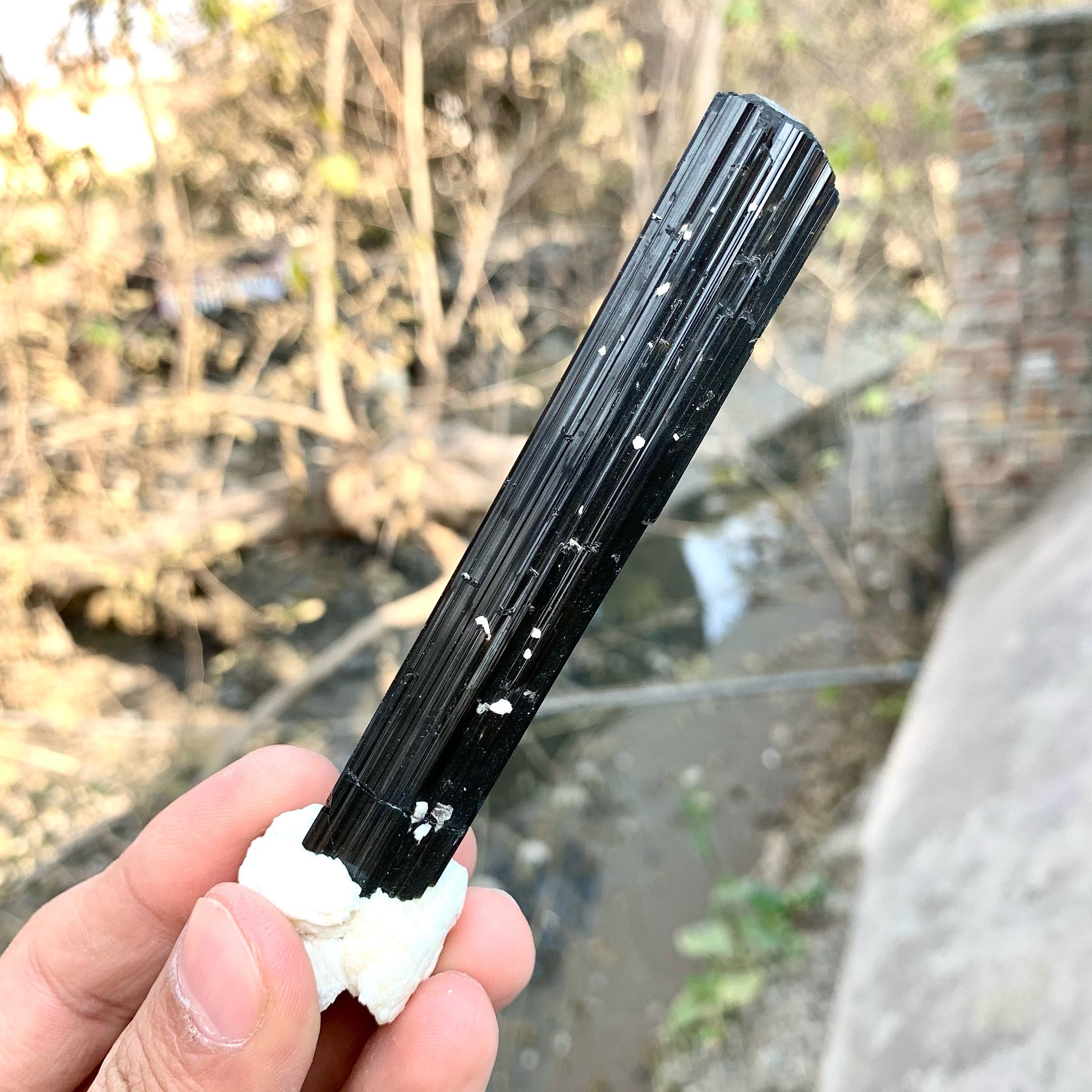 Attractive Elongated Black Tourmaline Crystal On Snowy White Albite