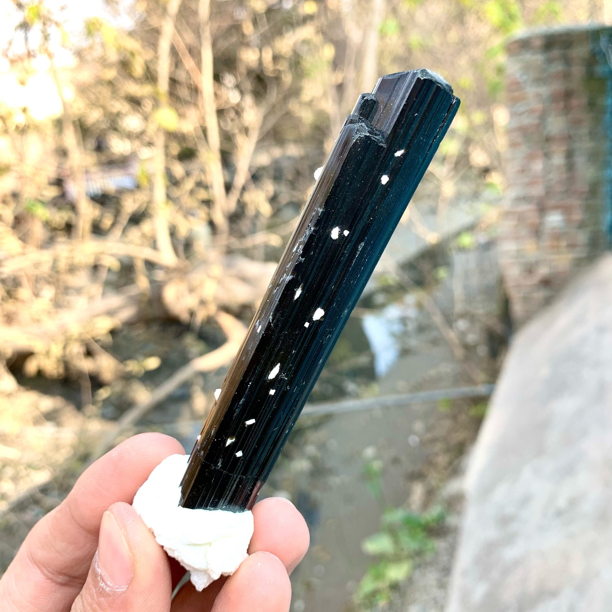 Attractive Elongated Black Tourmaline Crystal On Snowy White Albite