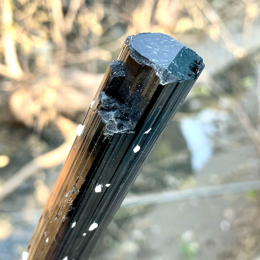 Attractive Elongated Black Tourmaline Crystal On Snowy White Albite