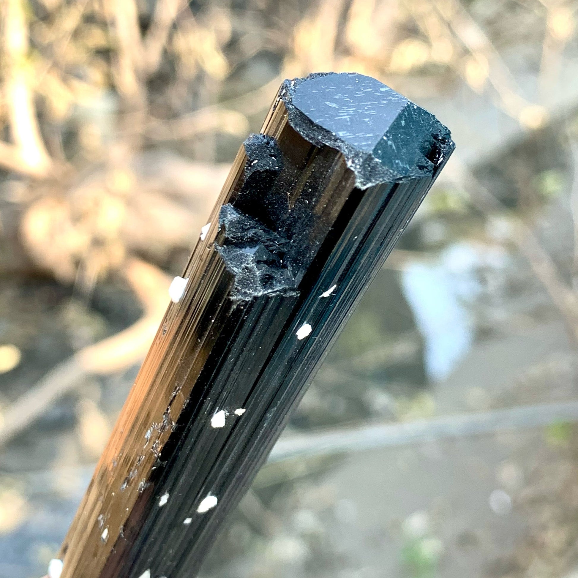 Attractive Elongated Black Tourmaline Crystal On Snowy White Albite
