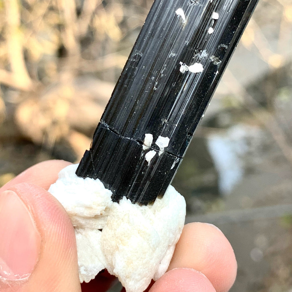 Attractive Elongated Black Tourmaline Crystal On Snowy White Albite