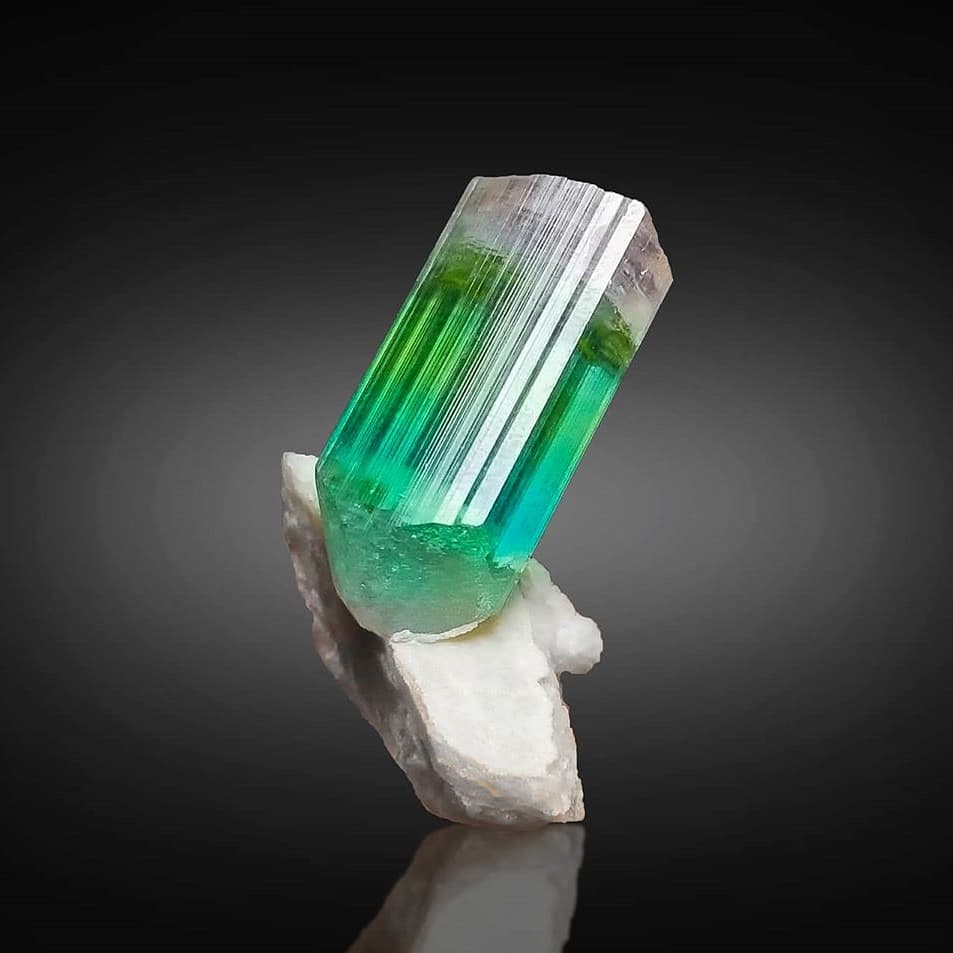 Bicolor Tourmaline Crystal  on dark background at Gandhara Fine Minerals 